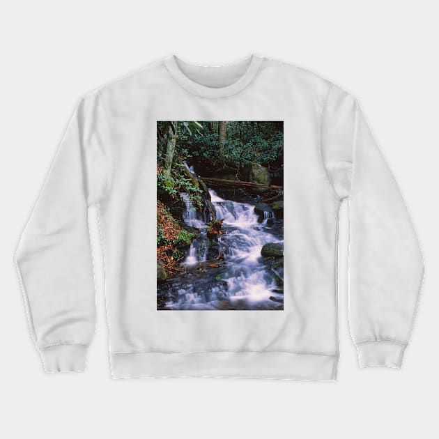 Earth and Water Spirits 5 Crewneck Sweatshirt by Rodwilliams